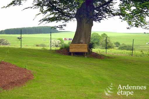 Ferienhaus Vaux sur s�re 9 Pers. Ardennen