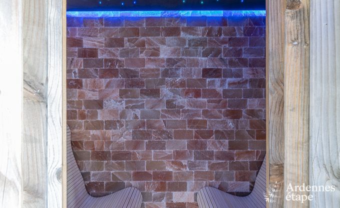 Luxusvilla Vaux-sur-sre 12 Pers. Ardennen Schwimmbad Wellness Behinderten gerecht