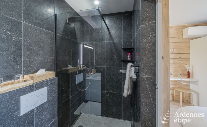 Luxusvilla Vaux-sur-sre 12 Pers. Ardennen Schwimmbad Wellness Behinderten gerecht