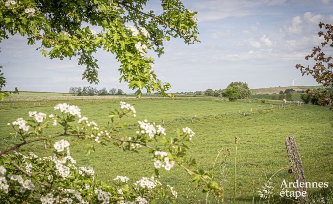 Luxusvilla Vaux-sur-sre 12 Pers. Ardennen Schwimmbad Wellness Behinderten gerecht