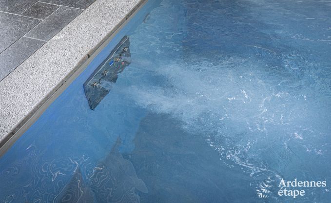 Luxusvilla Vaux-sur-sre 12 Pers. Ardennen Schwimmbad Wellness Behinderten gerecht