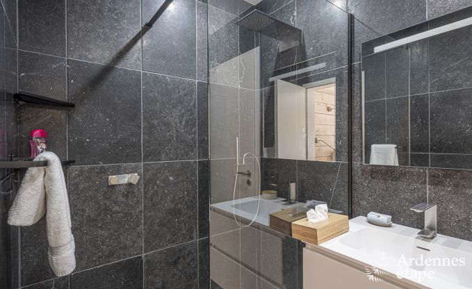 Luxusvilla Vaux-sur-sre 12 Pers. Ardennen Schwimmbad Wellness Behinderten gerecht