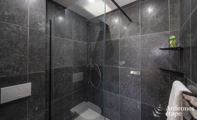 Luxusvilla Vaux-sur-sre 12 Pers. Ardennen Schwimmbad Wellness Behinderten gerecht