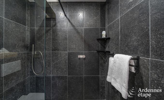 Luxusvilla Vaux-sur-sre 12 Pers. Ardennen Schwimmbad Wellness Behinderten gerecht