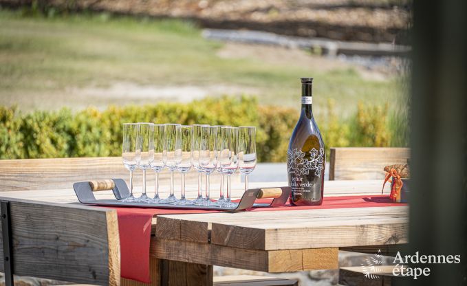 Luxusvilla Vaux-sur-sre 12 Pers. Ardennen Schwimmbad Wellness Behinderten gerecht