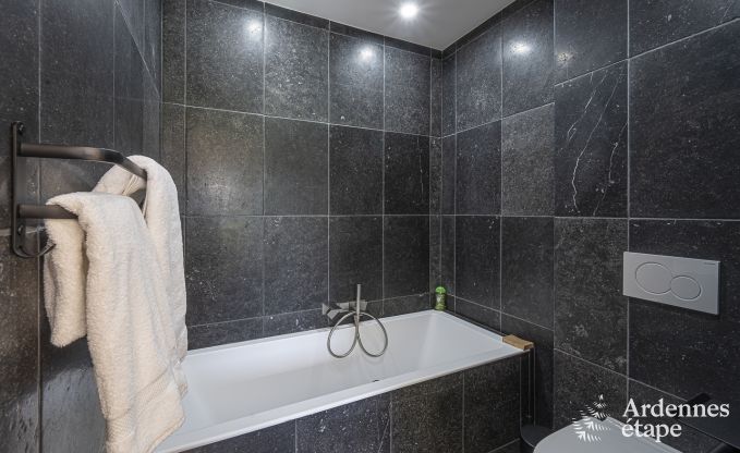 Luxusvilla Vaux-sur-sre 12 Pers. Ardennen Schwimmbad Wellness Behinderten gerecht