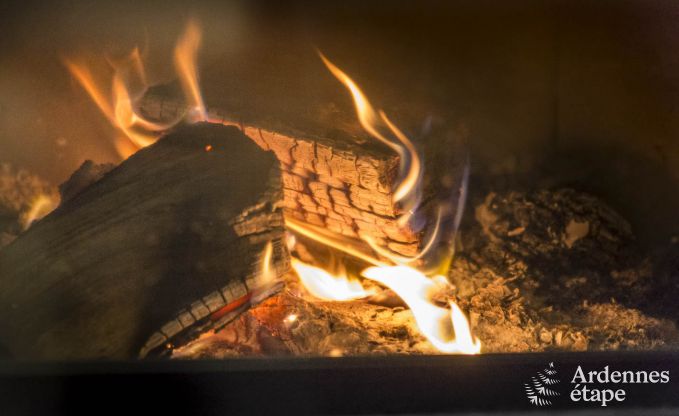 Ferienhaus Vencimont 9 Pers. Ardennen