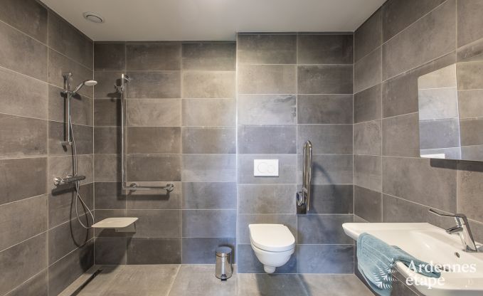 Ferienhaus Vencimont 20 Pers. Ardennen