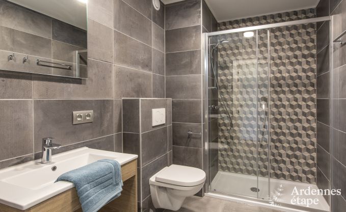 Ferienhaus Vencimont 20 Pers. Ardennen