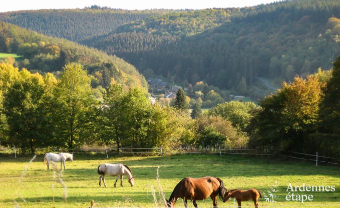 Chalet fr 5 Personen mit Panoramablick ber Vencimont