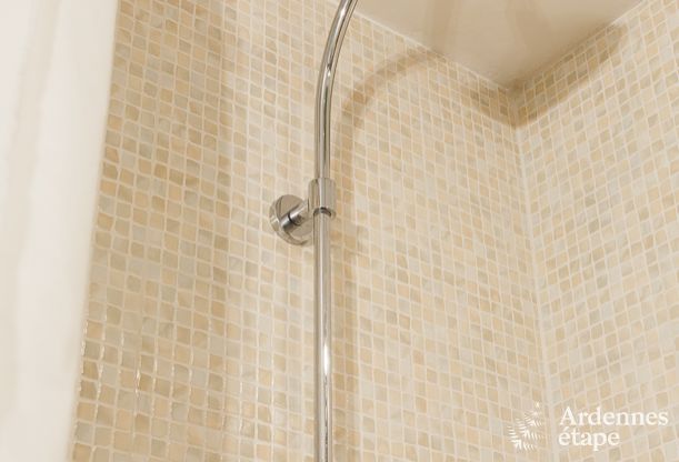 Ferienhaus Vencimont 4/6 Pers. Ardennen