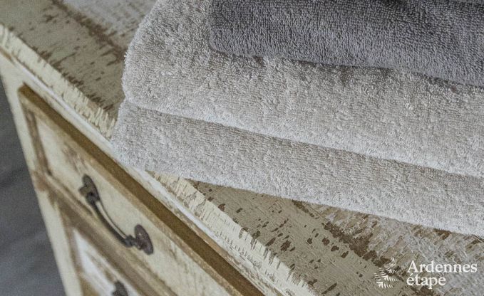 Ferienhaus Vencimont 9 Pers. Ardennen