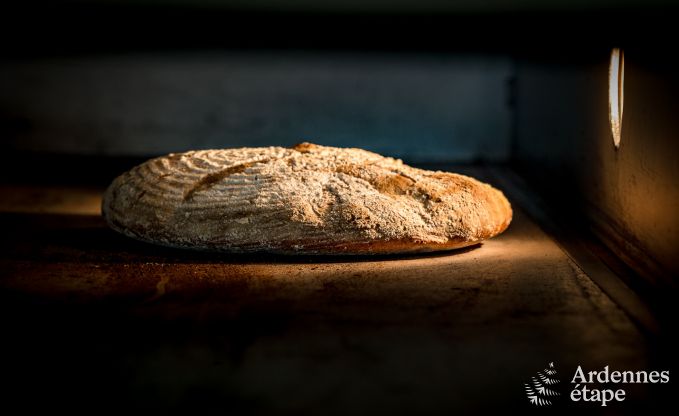 Ferienhaus Vencimont 8 Pers. Ardennen