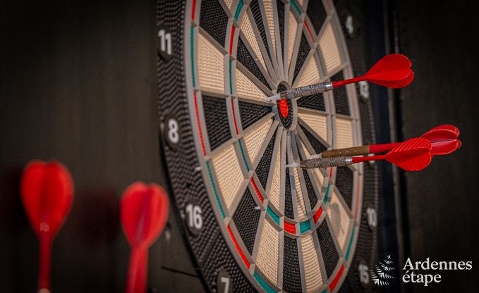 Ferienhaus in Vencimont, Ardennen, 12 Personen, 4 Schlafzimmer, privater Sauna, Billard, Garten am Wasser