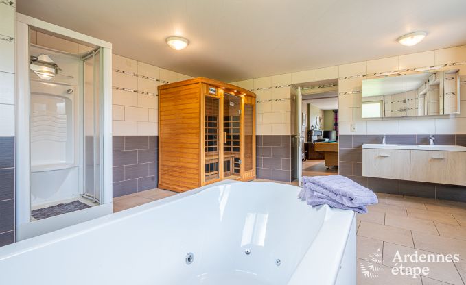 Ferienhaus in Vencimont, Ardennen, 12 Personen, 4 Schlafzimmer, privater Sauna, Billard, Garten am Wasser