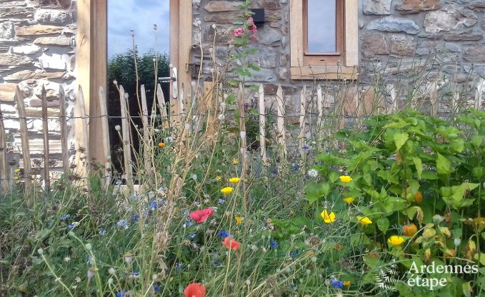 Cottage Vielsalm (Ennal) 5 Pers. Ardennen