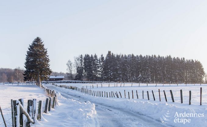 Chalet Vielsalm 4/5 Pers. Ardennen