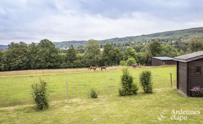 Chalet Vielsalm 2 Pers. Ardennen Behinderten gerecht
