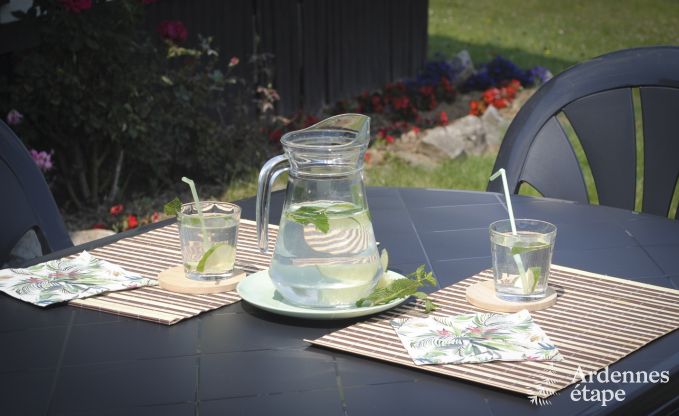 Chalet Vielsalm 2 Pers. Ardennen Behinderten gerecht