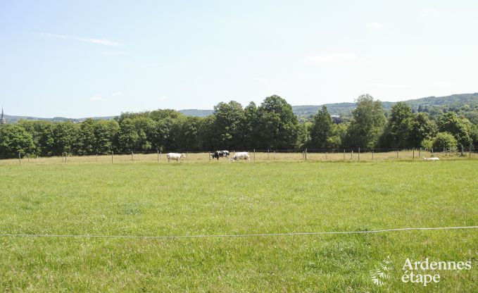 Chalet Vielsalm 2 Pers. Ardennen Behinderten gerecht