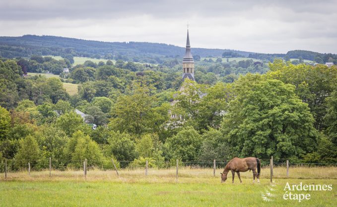 Chalet Vielsalm 2 Pers. Ardennen Behinderten gerecht