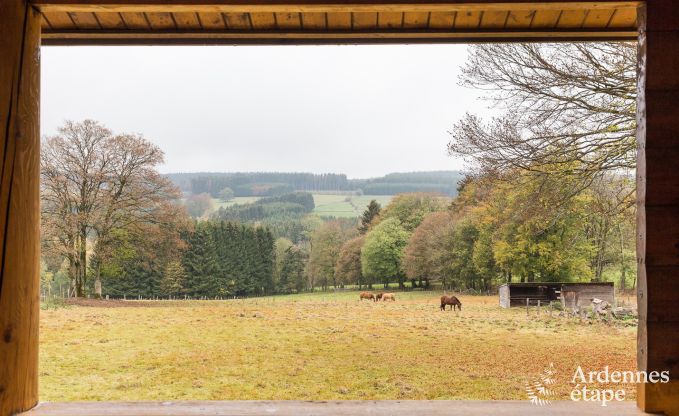 Chalet Vielsalm 7 Pers. Ardennen Wellness