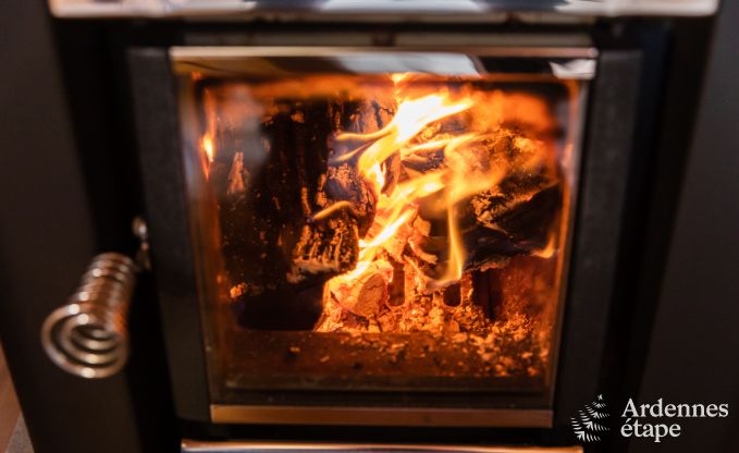 Chalet Vielsalm 8 Pers. Ardennen Wellness