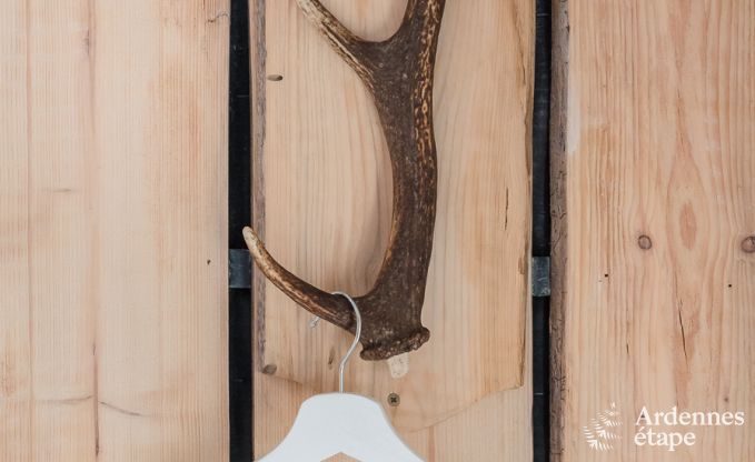 Chalet Vielsalm 8 Pers. Ardennen Wellness