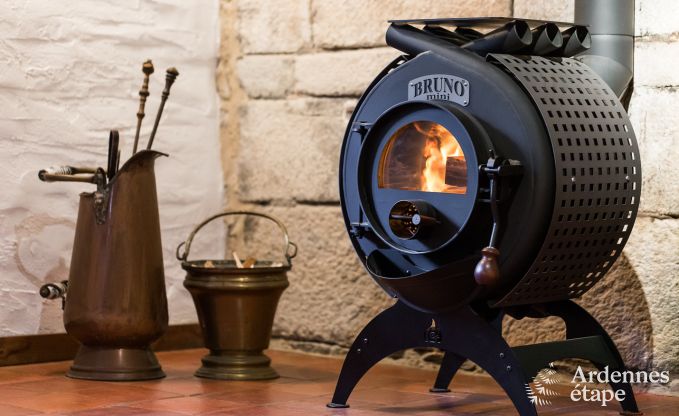 Cottage Vielsalm 14 Pers. Ardennen Wellness