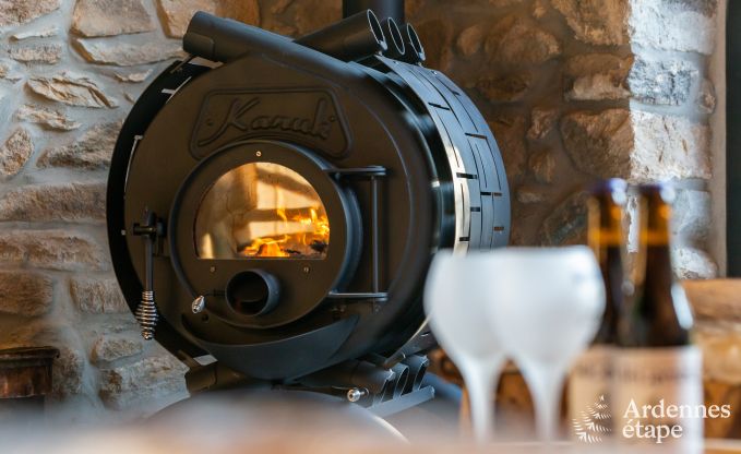 Cottage Vielsalm 14 Pers. Ardennen Wellness