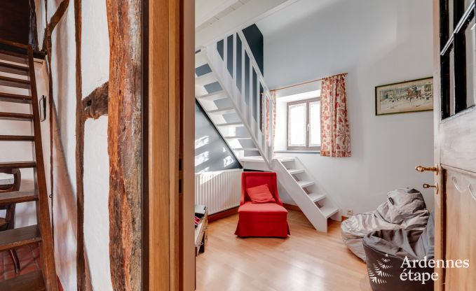 Cottage Vielsalm 14 Pers. Ardennen Wellness