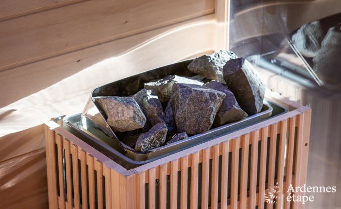 Cottage Vielsalm 14 Pers. Ardennen Wellness