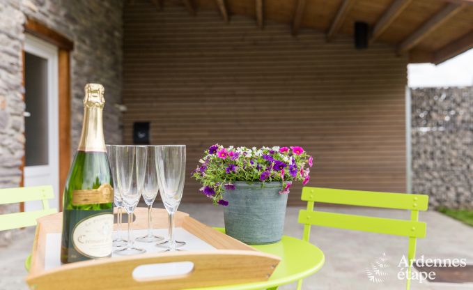 Ferienhaus Vielsalm 9 Pers. Ardennen Wellness