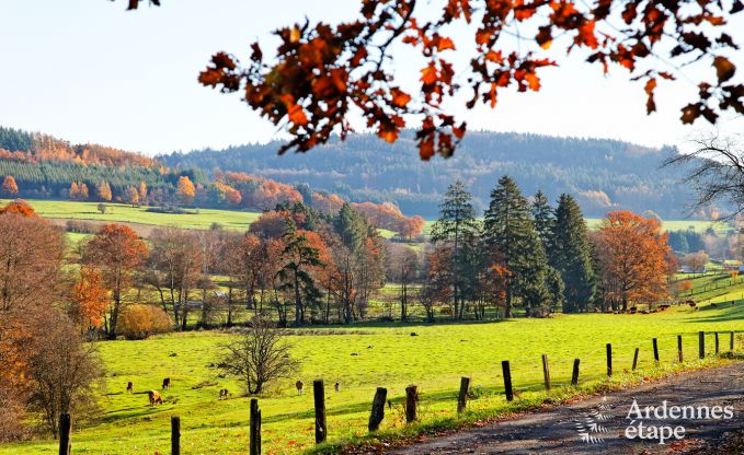 Ferienhaus Vielsalm 13/14 Pers. Ardennen