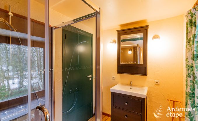 Ferienhaus Vielsalm 6 Pers. Ardennen