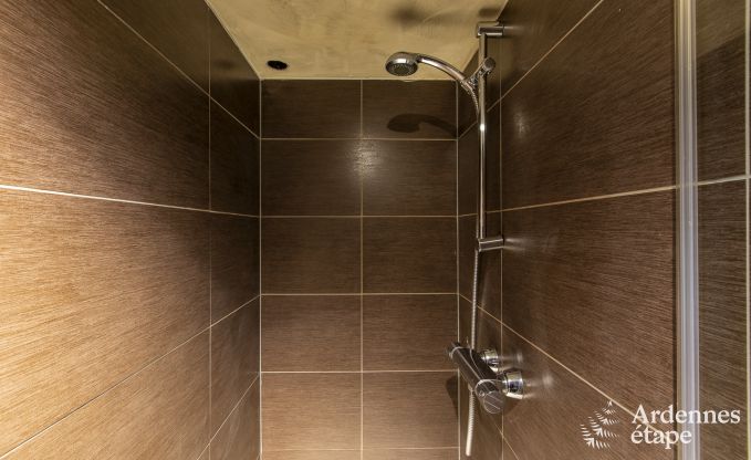 Ferienhaus Vielsalm 14 Pers. Ardennen