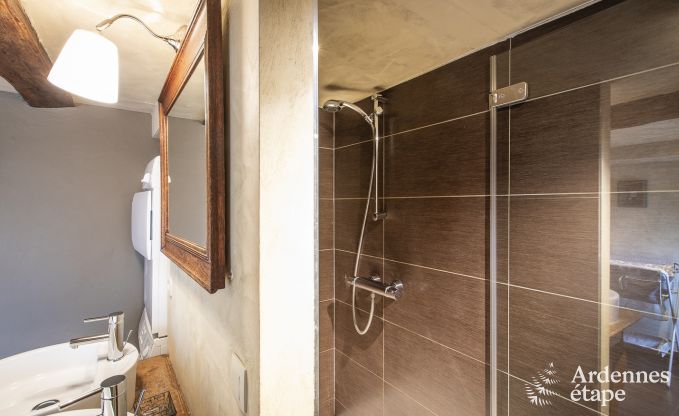 Ferienhaus Vielsalm 14 Pers. Ardennen