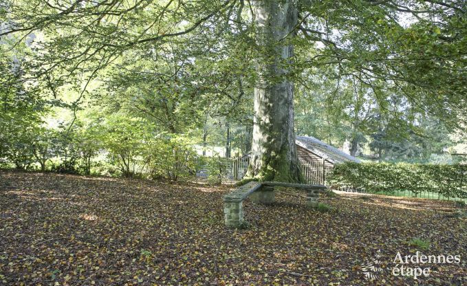 Ferienhaus Vielsalm 14 Pers. Ardennen