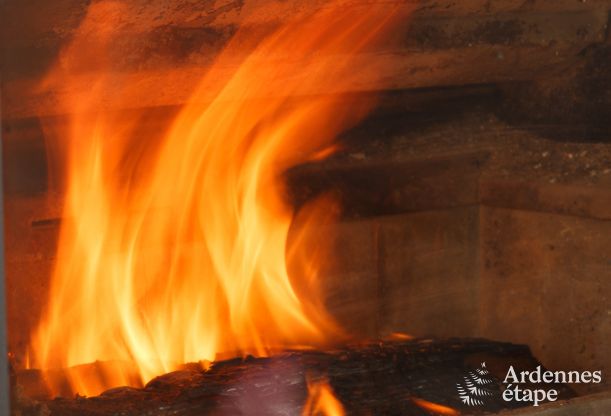 Ferienhaus Vielsalm 17 Pers. Ardennen