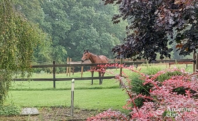 Ferienhaus Vielsalm 4/5 Pers. Ardennen