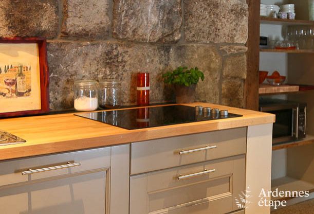 Ferienhaus Vielsalm 3 Pers. Ardennen