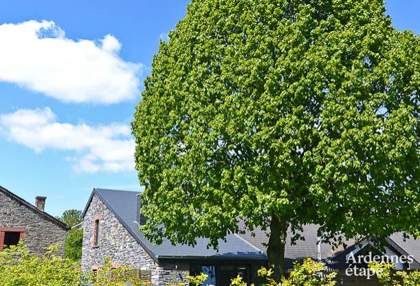Zauberhaftes Dorfhaus als 3-Sterne-Ferienvermietung in Vielsalm
