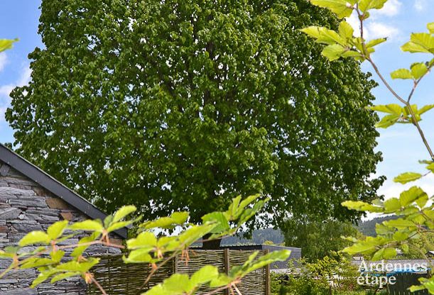Ferienhaus Vielsalm 2 Pers. Ardennen
