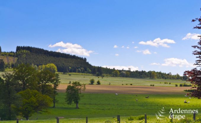 Ferienhaus Vielsalm 2 Pers. Ardennen