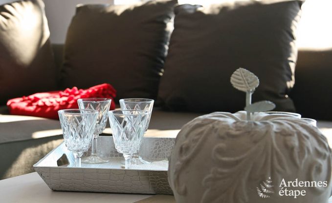 Ferienhaus Vielsalm 2 Pers. Ardennen