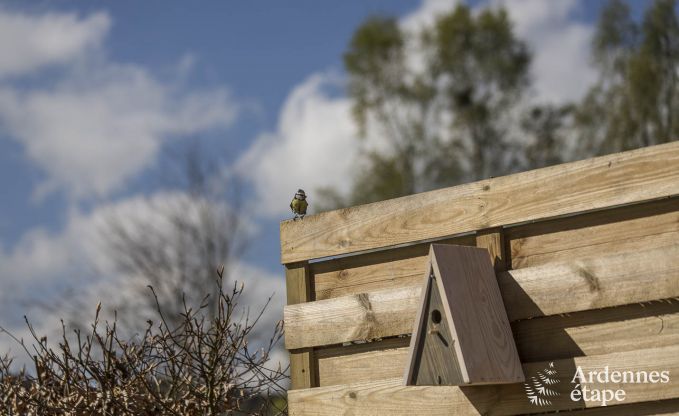 Ferienhaus Vielsalm 2 Pers. Ardennen