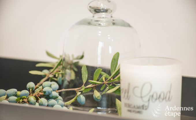 Ferienhaus Vielsalm 9 Pers. Ardennen