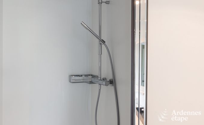 Ferienhaus Vielsalm 9 Pers. Ardennen