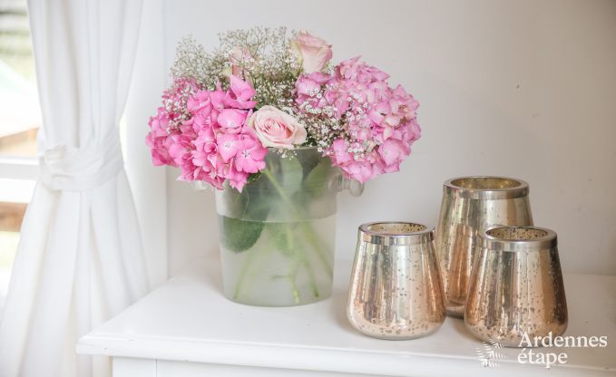 Ferienhaus Vielsalm 9 Pers. Ardennen