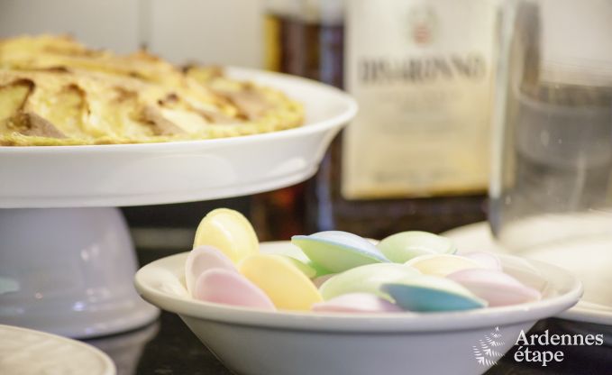 Ferienhaus Vielsalm 9 Pers. Ardennen